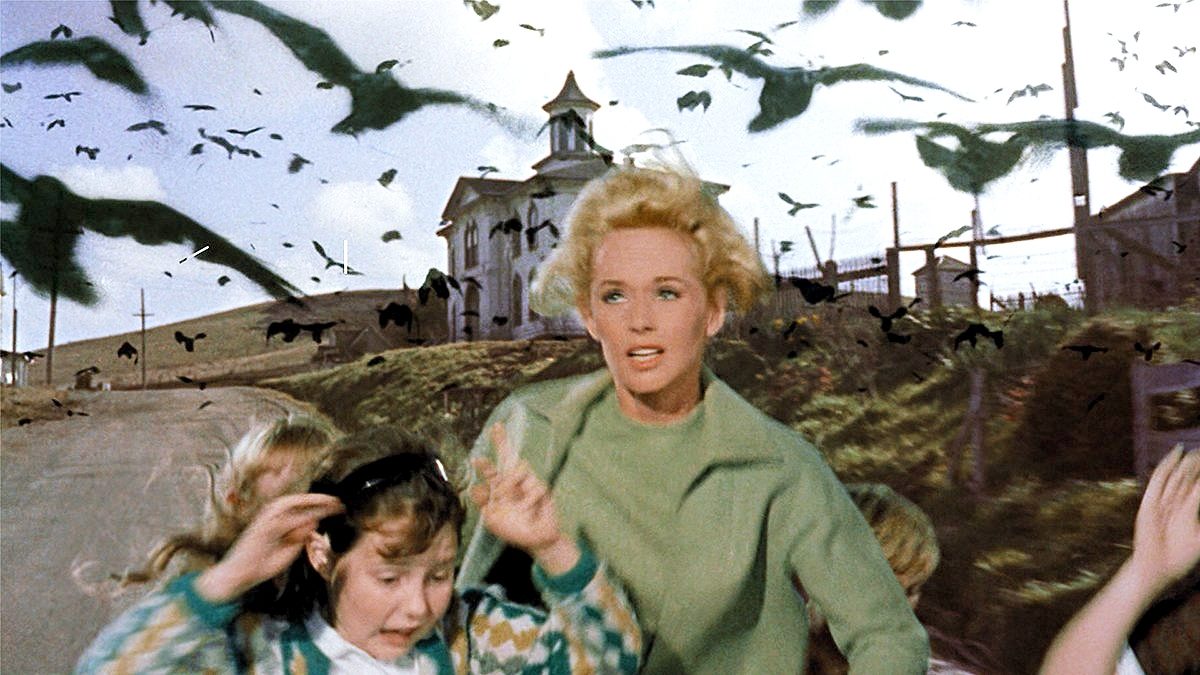 Melanie Daniels (Tippi Hedren) guiding children away from the flock of birds in 'The Birds' (1963)